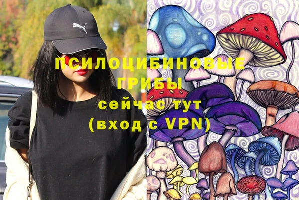 бошки Балахна