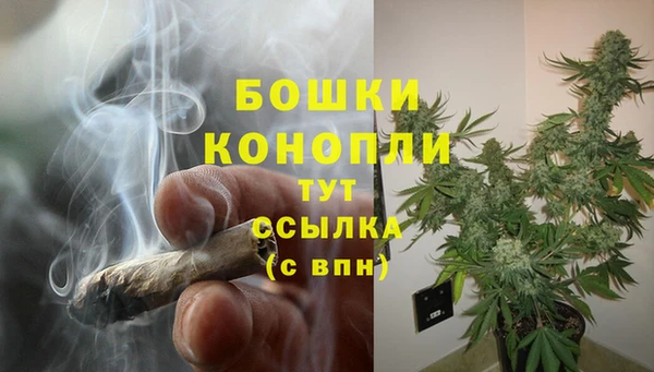 бошки Балахна