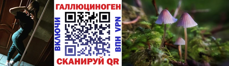купить   Светогорск  Галлюциногенные грибы Magic Shrooms 