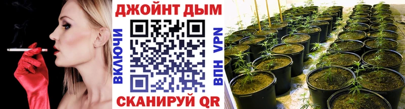 Бошки Шишки White Widow  даркнет сайт  Светогорск 